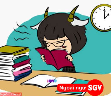 SGV, Từ Hán có trong tiếng Việt nhưng không có trong tiếng Nhật
