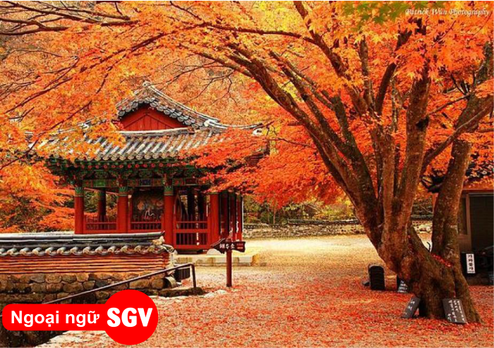 Địa điểm du lịch vào mùa thu tại Hàn Quốc