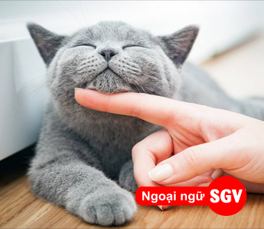 SGV,  The cat?