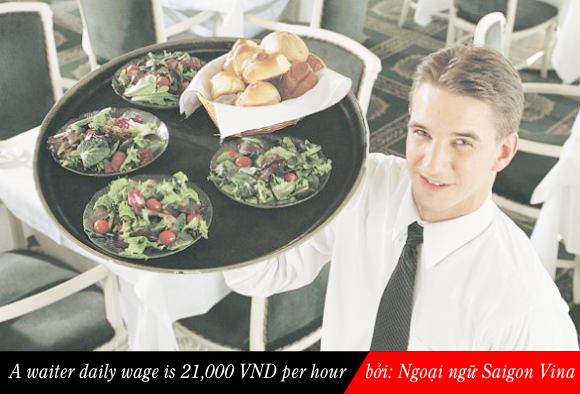 wage and salary