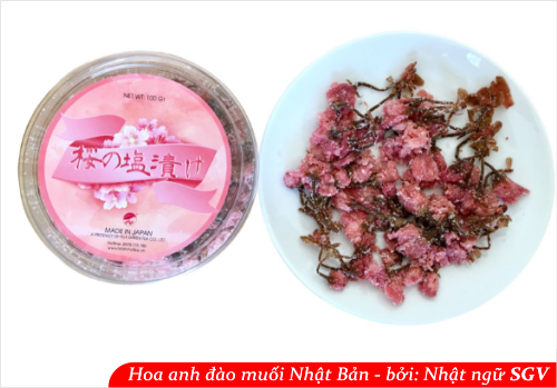 SGV, hoa anh dao muoi nhat ban