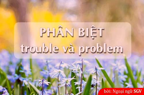 phan biet problem vs trouble