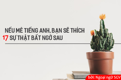 Sài Gòn Vina, Những sự thật thú vị về Tiếng Anh
