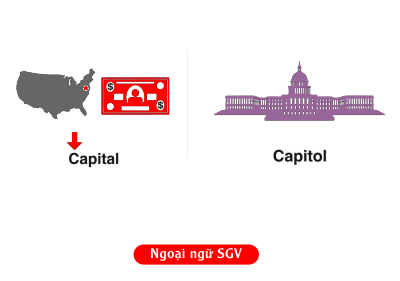 Sài Gòn Vina, Sự khác nhau giữa capital và capitol
