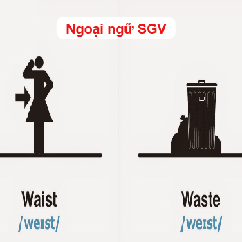 Sài Gòn Vina, Cách dùng Waist và Waste