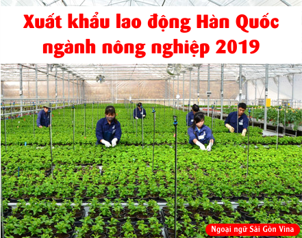 SGV, xuat khau lao dong han nganh nong nghiep 2019
