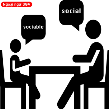 Sài Gòn Vina, So sánh social và sociable