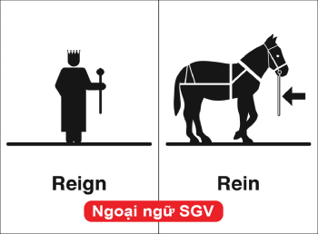 Sài Gòn Vina, Khác nhau giữa Reign và Rein