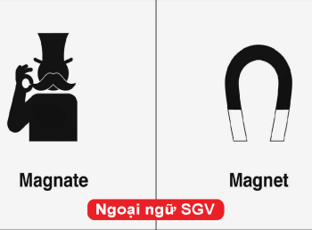 Định nghĩa Magnet và Magnate