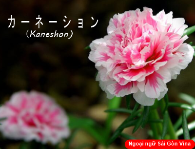 Ý nghĩa của 17 loài hoa ở đất nước Nhật Bản