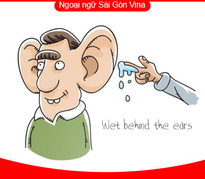 Sài Gòn Vina, Idioms with Ear