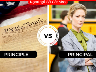 Sài Gòn Vina, Phân biệt Principal & Principle