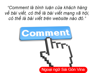 Sài Gòn Vina, Phân biệt Comment và Commentary