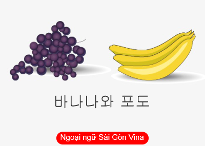 Sài Gòn Vina, Cấu trúc N+ 와/과, N+ 하고, N+ 이랑 trong tiếng Hàn