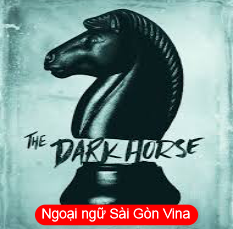 Sài Gòn Vina, Idioms with Dark