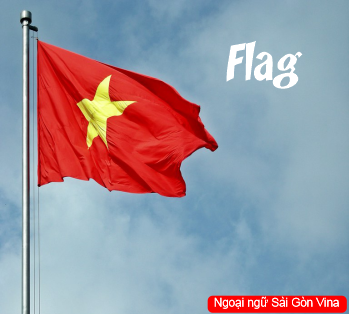 Sài Gòn Vina, Idioms with Flag