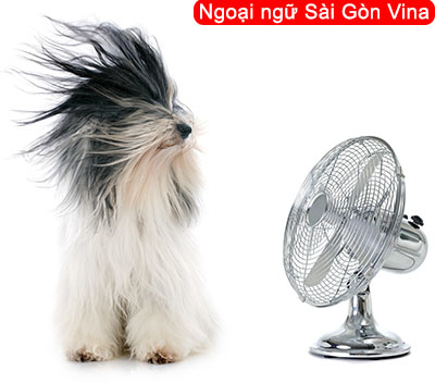 Sài Gòn Vina, Cách dùng Cool off