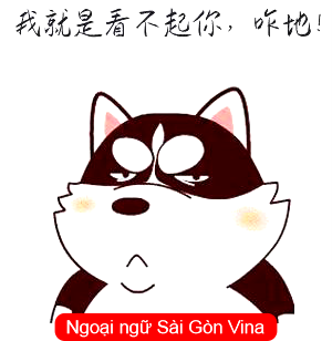 SGV, Cách sử dụng 看不起 trong tiếng Trung
