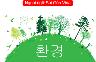 Danh từ 환경 trong tiếng Hàn