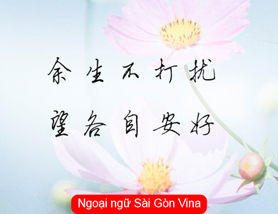 SGV, Cách dùng 各自 trong tiếng Trung