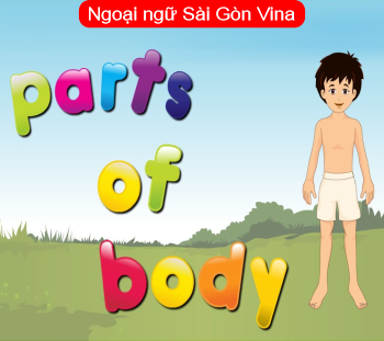 Sài Gòn Vina, Body parts tiếng Anh là gì