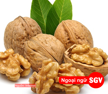 saigonvina, Từ vựng chủ đề các loại hạt trong tiếng Hoa