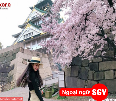 SGV, Từ vựng tiếng Nhật chủ đề du lịch
