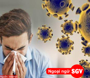 SGV, Virus corona là gì