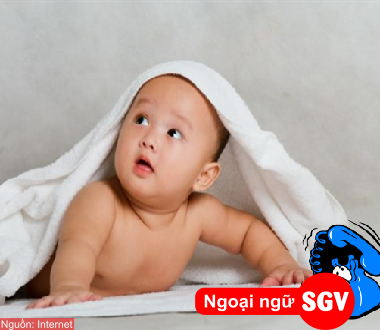 SGV, Mệnh đề danh từ với Whether và If