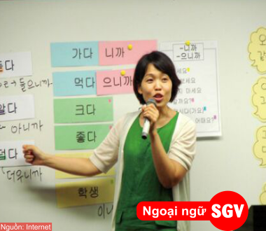 SGV, Tuyển gấp giáo viên tiếng Hàn dạy ở Vũng Tàu