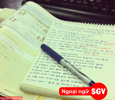 SGV, Cấu trúc hành động chỉ nguyên nhân và kết quả 느라(고)