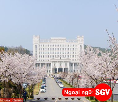Sài Gòn Vina, chi phí du học Hàn Quốc năm 2020