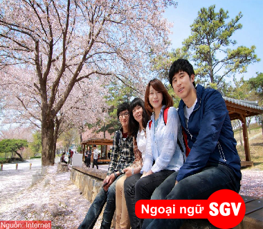 SGV, Phỏng vấn xin visa du lịch Hàn Quốc