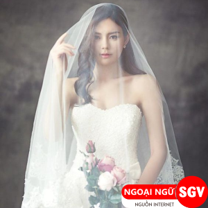 Sài Gòn Vina, Chỉ được cấp Visa nhập cư cho cô dâu Việt biết tiếng Hàn