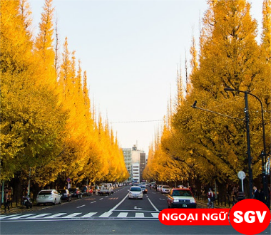 Sài Gòn Vina, mùa thu Tokyo Nhật Bản